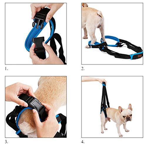 POPETPOP Cinturón Trasero de la Pierna Arnés Deformidad Herido Correa de Escalera del Perro Viejo Accesorios para Mascotas - Tamaño S (Azul)