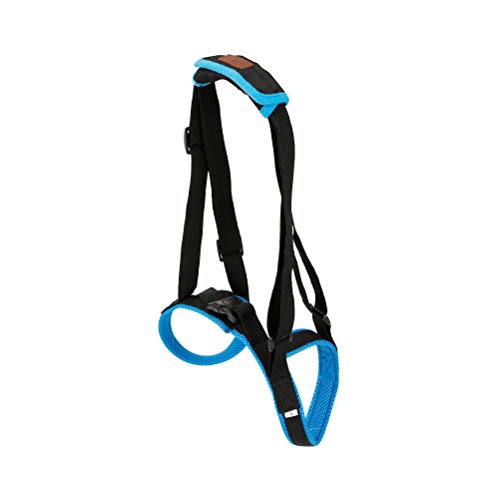 POPETPOP Cinturón Trasero de la Pierna Arnés Deformidad Herido Correa de Escalera del Perro Viejo Accesorios para Mascotas - Tamaño S (Azul)