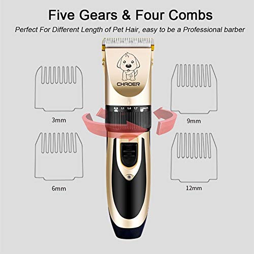 Profesional de las podadoras for los perros del condensador de ajuste de carga USB Peluquería Canina Clippers for corte de pelo Puppy Dogs Cats pelo de la máquina Productos for Mascotas ( Color : 1 )