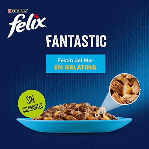 Purina Felix Fantastic Festín Gelatina comida para gatos Selección Surtido de Pescados 6 x [12 x 85 g]