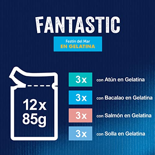 Purina Felix Fantastic Festín Gelatina comida para gatos Selección Surtido de Pescados 6 x [12 x 85 g]