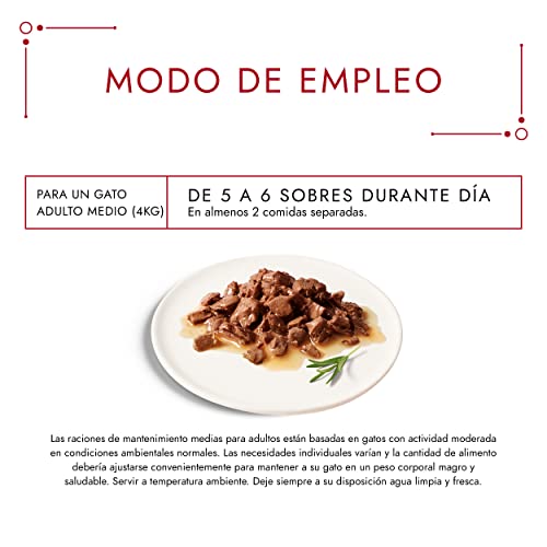 Purina Gourmet Mon Petit comida para gatos Carnes 8 x [6 x 50 g]