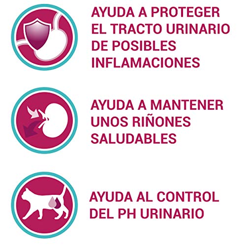 PURINA ONE Bifensis Pienso para Gatos con Cuidado Urinario Pollo y Trigo 8 x 800 g