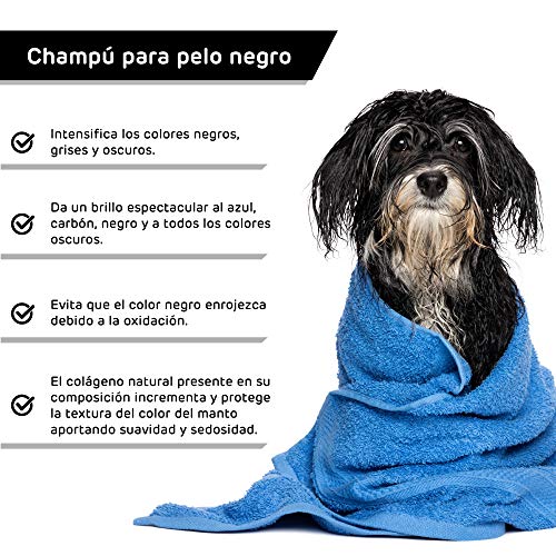 Rc ocio Champu Perro Pelo Negro intensificador de Color para Pelo Oscuro Brillo Espectacular en el Pelo del Perro para Razas como Labrador Retriever, Boston Terrier, Pastor Belga, Schnauzer, Spincher