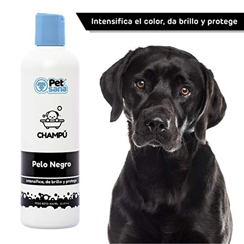 Rc ocio Champu Perro Pelo Negro intensificador de Color para Pelo Oscuro Brillo Espectacular en el Pelo del Perro para Razas como Labrador Retriever, Boston Terrier, Pastor Belga, Schnauzer, Spincher