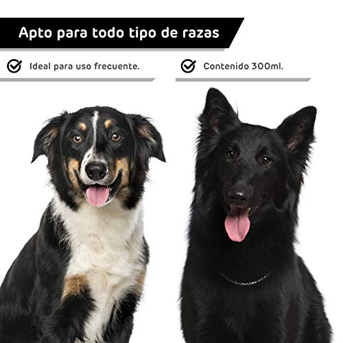 Rc ocio Champu Perro Pelo Negro intensificador de Color para Pelo Oscuro Brillo Espectacular en el Pelo del Perro para Razas como Labrador Retriever, Boston Terrier, Pastor Belga, Schnauzer, Spincher