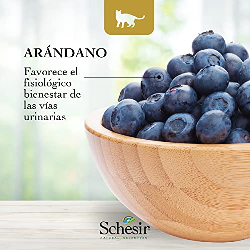 Schesir, Pienso Completo Y Equilibrado para Gatos Adultos, Línea Natural Selection con Alto Contenido En Buey, Croquetas - Formato Bolsa De 1,4 Kg