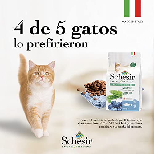Schesir, Pienso Completo Y Equilibrado para Gatos Adultos, Línea Natural Selection con Alto Contenido En Buey, Croquetas - Formato Bolsa De 1,4 Kg