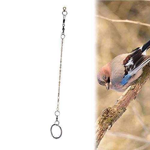 Sheens Cadena de pie de pájaro de Acero Inoxidable con Anillo Accesorios de Anillo de pie de Tobillo Parrot Anti Flying(Agapornis)