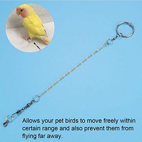 Sheens Cadena de pie de pájaro de Acero Inoxidable con Anillo Accesorios de Anillo de pie de Tobillo Parrot Anti Flying(Agapornis)