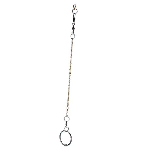 Sheens Cadena de pie de pájaro de Acero Inoxidable con Anillo Accesorios de Anillo de pie de Tobillo Parrot Anti Flying(Agapornis)