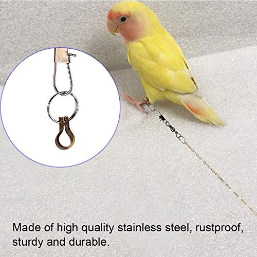 Sheens Cadena de pie de pájaro de Acero Inoxidable con Anillo Accesorios de Anillo de pie de Tobillo Parrot Anti Flying(Agapornis)
