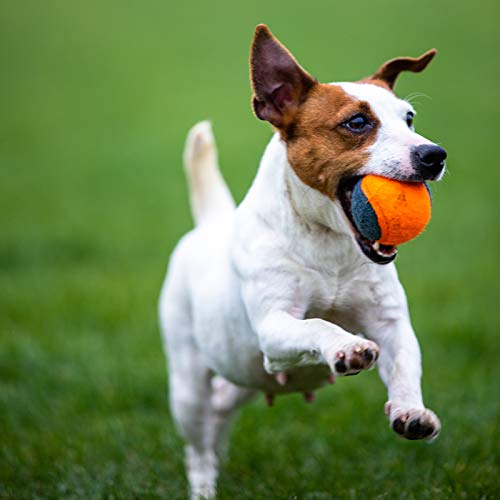 SKIPDAWG - Pelotas de tenis para perro, compatible con lanzador de pelotas de tenis para perro, juguete no tóxico, material de fieltro, juguete para perros de 2.5 pulgadas, 4 unidades