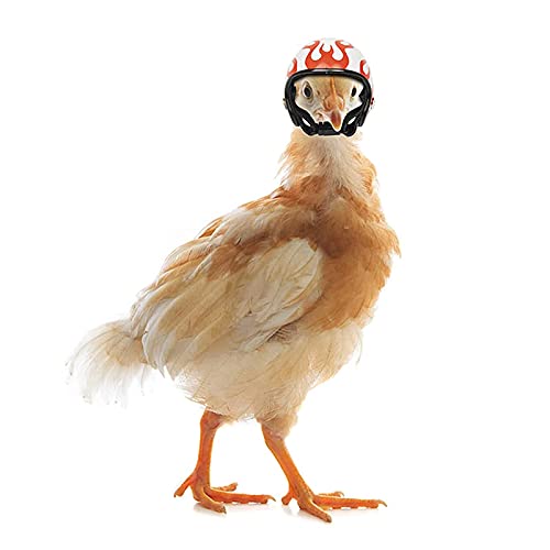 Sombrero Casco De Pollo Sombrero Pollo Mascotas Suministros Creativos para Mascotas, Accesorios para Fotos De Mascotas, Ajustable, Utilizado para Proteger Las Cabezas De Pájaros, Patos Y Pollos