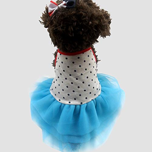 SUNXK Ropa for Mascotas, Ropa for Perros de Comercio Exterior, Minifalda, Ropa for Perros, Falda for Mascotas (Color : Blue, Size : XL)