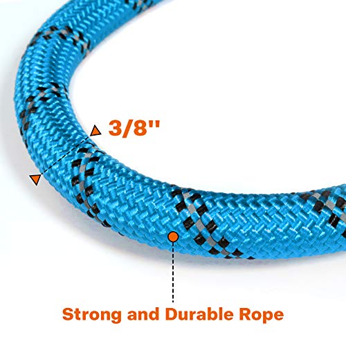 Taglory Correa de Perro, 1,2 m Correa de Fuerte de Perro para Perros Medianos y Grandes con Mango Acolchado Suave y Hilos Reflectantes, Azul