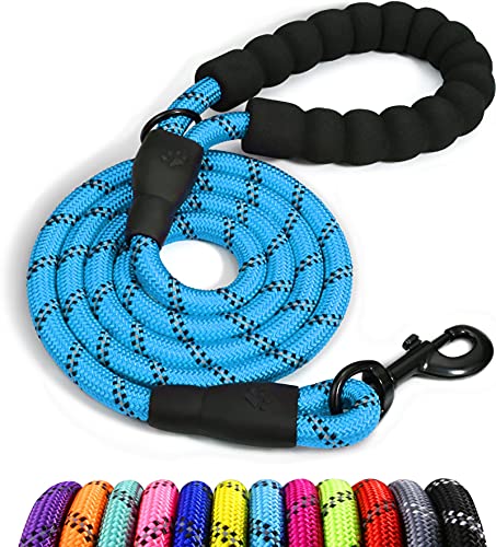 Taglory Correa de Perro, 1,2 m Correa de Fuerte de Perro para Perros Medianos y Grandes con Mango Acolchado Suave y Hilos Reflectantes, Azul