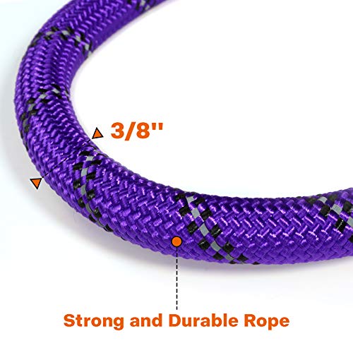Taglory Correa de Perro, 1,2 m Correa de Fuerte de Perro para Perros Medianos y Grandes con Mango Acolchado Suave y Hilos Reflectantes, Morado