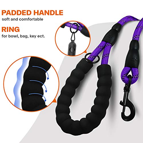 Taglory Correa de Perro, 1,2 m Correa de Fuerte de Perro para Perros Medianos y Grandes con Mango Acolchado Suave y Hilos Reflectantes, Morado