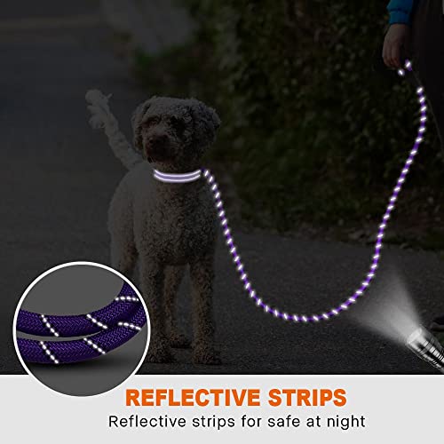Taglory Correa de Perro, 1,2 m Correa de Fuerte de Perro para Perros Medianos y Grandes con Mango Acolchado Suave y Hilos Reflectantes, Morado