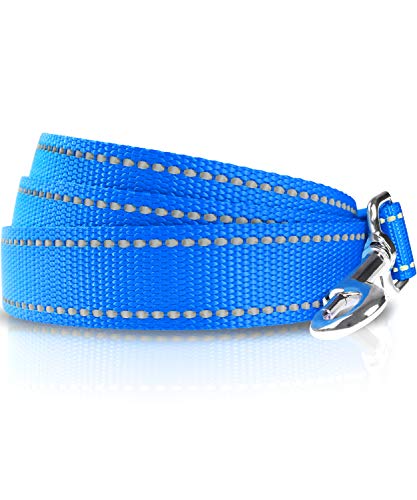 Taglory Correa Perro Reflectante, Mango Acolchado Suave y Gancho de Metal, Correas Adiestramiento para Perros Pequeño, 1.2m x 2.0cm, Cielo Azul