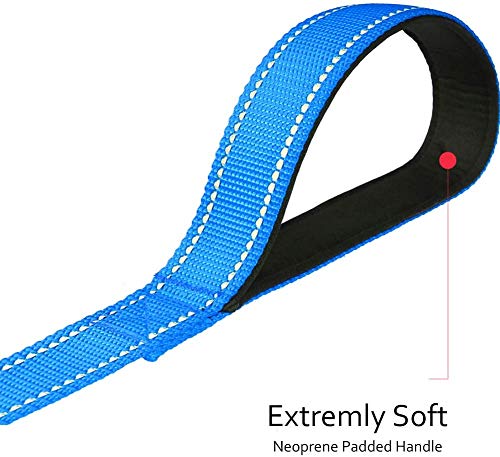 Taglory Correa Perro Reflectante, Mango Acolchado Suave y Gancho de Metal, Correas Adiestramiento para Perros Pequeño, 1.2m x 2.0cm, Cielo Azul