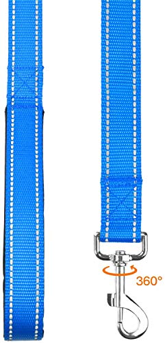 Taglory Correa Perro Reflectante, Mango Acolchado Suave y Gancho de Metal, Correas Adiestramiento para Perros Pequeño, 1.2m x 2.0cm, Cielo Azul