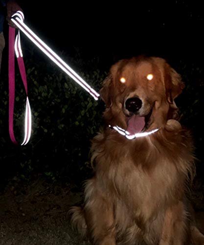 Taglory Correa Perro Reflectante, Mango Acolchado Suave y Gancho de Metal, Correas Adiestramiento para Perros Pequeño, 1.2m x 2.0cm, Fucsia