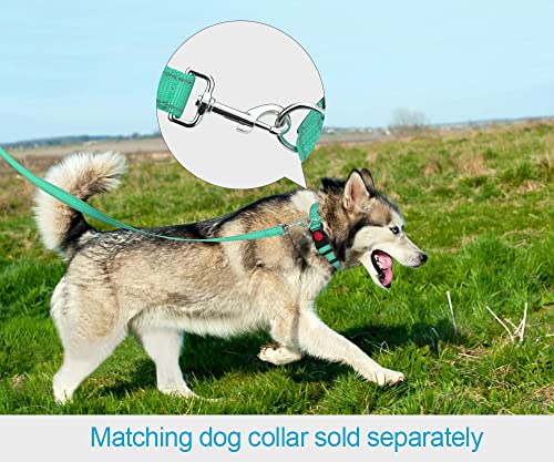 Taglory Correa Perro Reflectante, Mango Acolchado Suave y Gancho de Metal, Correas Adiestramiento para Perros Pequeño, 1.2m x 2.0cm, Turquesa