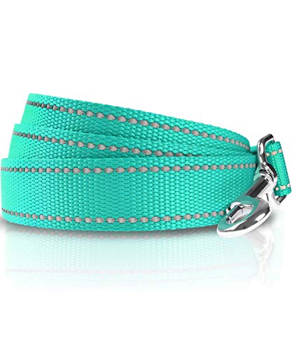 Taglory Correa Perro Reflectante, Mango Acolchado Suave y Gancho de Metal, Correas Adiestramiento para Perros Pequeño, 1.2m x 2.0cm, Turquesa