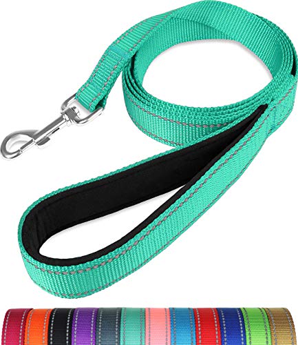 Taglory Correa Perro Reflectante, Mango Acolchado Suave y Gancho de Metal, Correas Adiestramiento para Perros Pequeño, 1.2m x 2.0cm, Turquesa