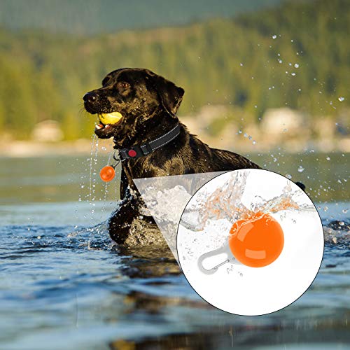 Taglory Luz LED Collares para Perro Clip-on, Luces de Seguridad Coloridas para Perros y Gatos, Collar Luminoso Perro Luz Impermeable, Colgante Perro Luz LED Noche(2 Baterías Adicionales), Naranja