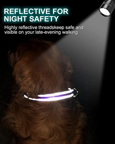 TagME Personalizado Nylon Collares para Perros, Ajustable Reflectante Collar Perro con Acolchados, Etiqueta de Acero Inoxidable Nombre Grabado y Número de Teléfono, Turquesa