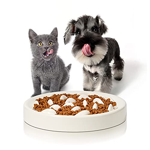 Tazón de Alimentación Lenta para Perros y Gatos,Comedero Perro Antivoracidad,Base Antideslizante Ralentizar la Ingesta de Alimentos, Adecuado para Gatos y Perros Pequeños