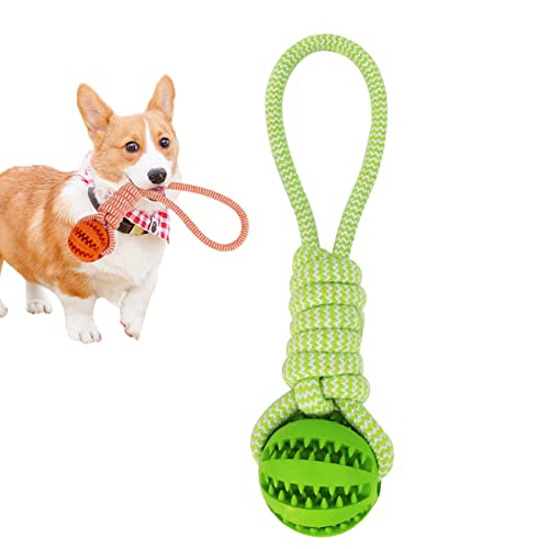 Tianyis Pelota para Perros con Cuerda, Juguetes de Perros, Juguete Masticable para Perros, Mascotas Pelota de Goma, Bolas Juguetes Interactivos para Morder Perro, Pelota para Perros