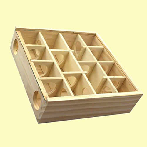 Ueetek - Túnel de madera para laberinto con cubierta de cristal, animales pequeños y animales de actividad, juguete de rata, ratón de madera, juguete divertido