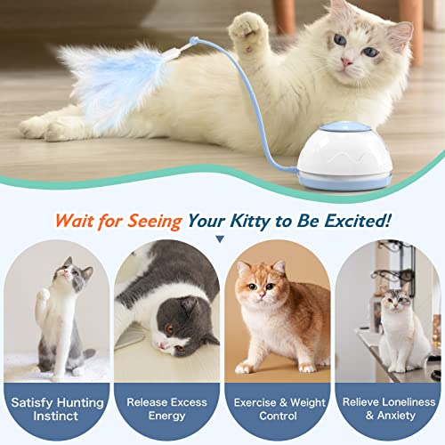 VavoPaw Molino de Viento para Gatos, Placa Giratoria Electrónica Automática con Varillas Plumas Oruga Cubierta Tocadiscos de Juego Captura Juguete Interactivo Divertido para Gatitos, Azul