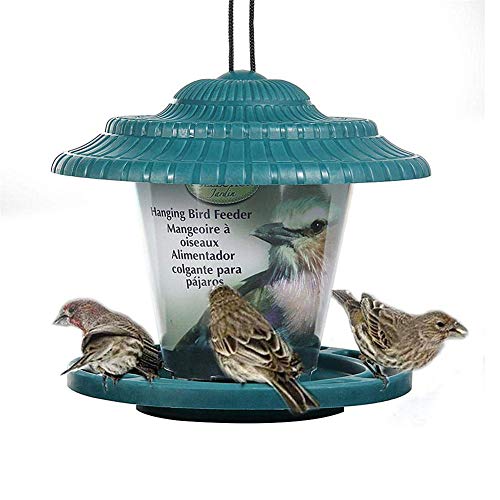 xihan123 Jaula para Pajaros Comedero Pajaros Exterior Colgante Comederos para Pajaros para Adecuado para Parques Ajardinados con Árboles En La Entrada Tetas Seductoras Green