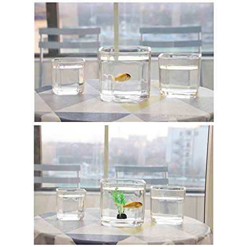 xinxinchaoshi Pecera Tanque de Peces Transparente de Vidrio Cuadrado Simple pequeño Betta Ornamental Tortuga Tortuga Agua Planta Tanque Acuario Pequeño (Size : 3.15IN)