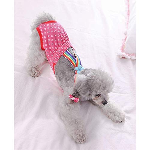 XYSQWZ Pantalones Fisiológicos para Mascotas Cachorro Perro Gato Rayas Coloridas Pantalones Cortos Ropa Interior Pañales Apretar La Correa Bragas Sanitarias Bragas (Color: Rayas Azules Tamaño: XL)