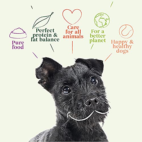 YARRAH Comida Seca orgánica para Perros Vega – Sabrosa Vegetariana y Vegana con Frijoles de Soja orgánicos, Aceite de Coco, Lupa Blanca y Baobab – Apto para Todo Tipo de Perros Adultos – 10 kg