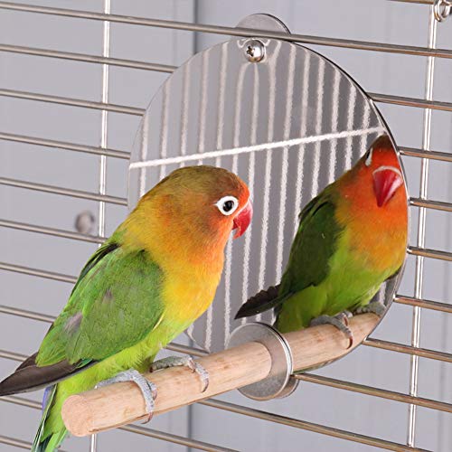 YOUTHINK Espejo de Pájaro con Percha Jaula de Espejo de Loro de Acero Inoxidable Varilla de Pie Arbolada Loros para Mascotas Percha Columpio Jaula de Loro Juguetes Accesorios de Jaula de Pájaros