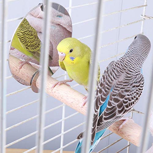 YOUTHINK Espejo de Pájaro con Percha Jaula de Espejo de Loro de Acero Inoxidable Varilla de Pie Arbolada Loros para Mascotas Percha Columpio Jaula de Loro Juguetes Accesorios de Jaula de Pájaros