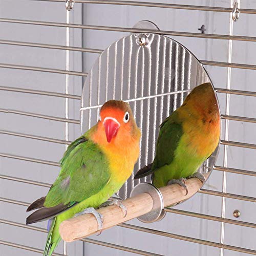 YOUTHINK Espejo de Pájaro con Percha Jaula de Espejo de Loro de Acero Inoxidable Varilla de Pie Arbolada Loros para Mascotas Percha Columpio Jaula de Loro Juguetes Accesorios de Jaula de Pájaros