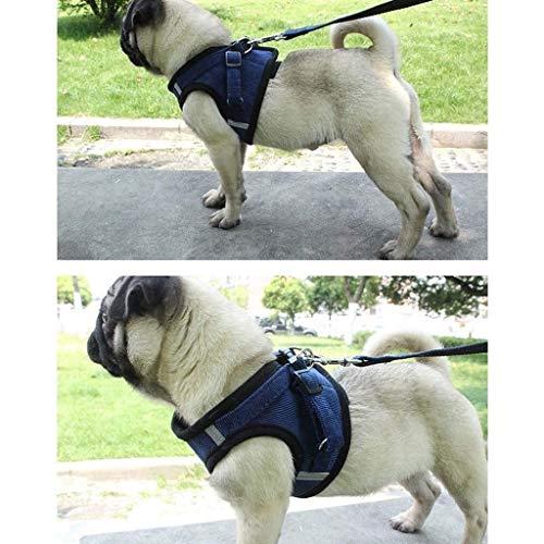 ZDVHM Mascota Correa del Perro Chaleco de Tipo Correa reflexión de la luz de Malla Transpirable Perro Plomo Correa for pequeñas y Medianas Perros Caminar Correr Correa de Entrenamiento