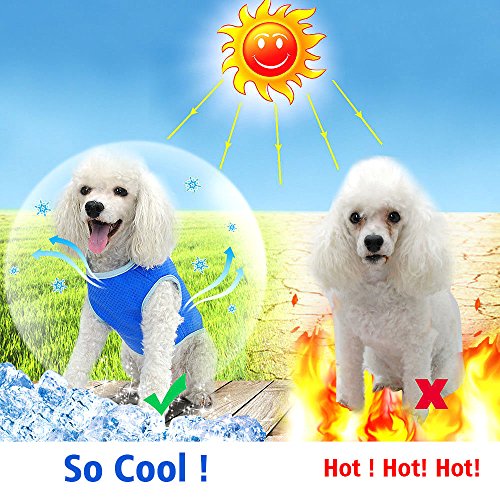 Zunea - Chaleco de refrigeración para Perros pequeños, medianos y Grandes, Transpirable, Chaqueta fría de Verano, Suave, anticalor, para Deportes al Aire Libre, Senderismo, Entrenamiento Azul S