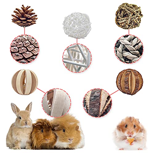 5 Piezas Juguetes para Masticar Conejos, Masticación Mascota Juguete Mascotas Bolas de Limpieza de Dientes para Hámster, Cobayas, Jerbos, Loros