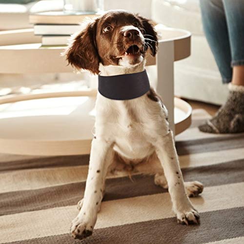 Agatige Collar de Cuero para Perros, Collar para Mascotas Ancho Portátil y Duradero para Perros Pequeños Greyhound Whippet con Fijación de Remaches Marrón