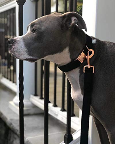 ARING PET Juego de collar y correa para perro de terciopelo, collar de perro y correa, collar de perro para perros pequeños, collares ajustables para perros pequeños, medianos y grandes