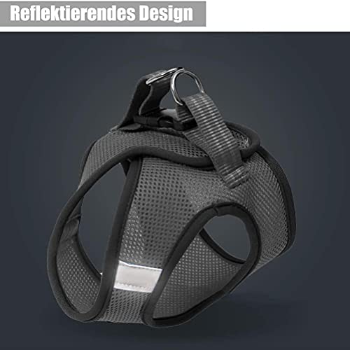 Arnés para Gatos Tomicy Juego de Arnés y Correa para Gatos, Arnés Ajustable para Cachorros, Cachorros Ajustable Arnés para Gatos 35-40Cm, Arnés Gato Reflectante(M, Gris Plateado)